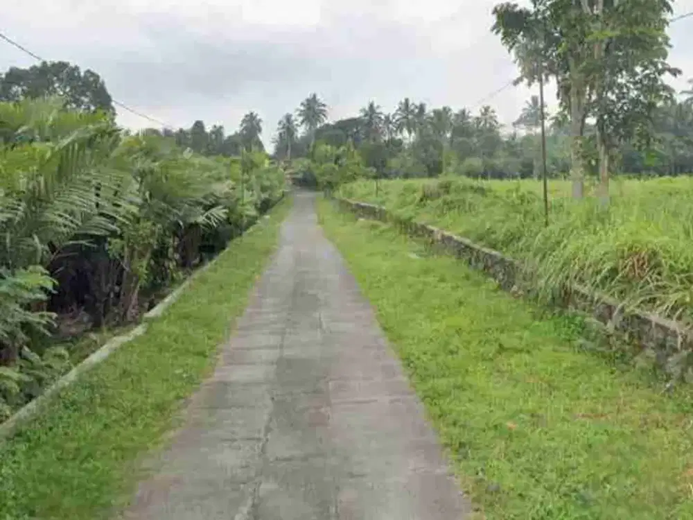 BU !! MURAH !! Tanah Asri Bonus Pohon Salak View Merapi Di Turi Sleman