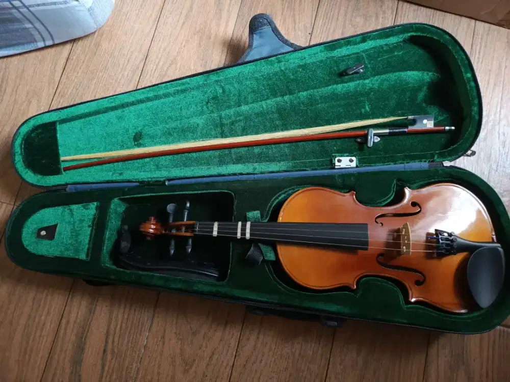 Biola eks les putri saya