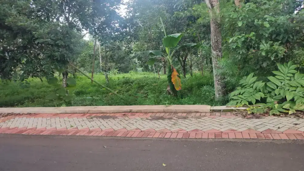 Dijual tanah kebun SHM