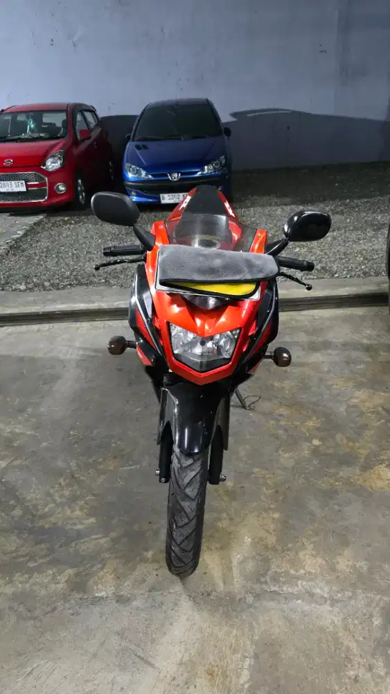 Kawasaki Ninja RR NEW SE