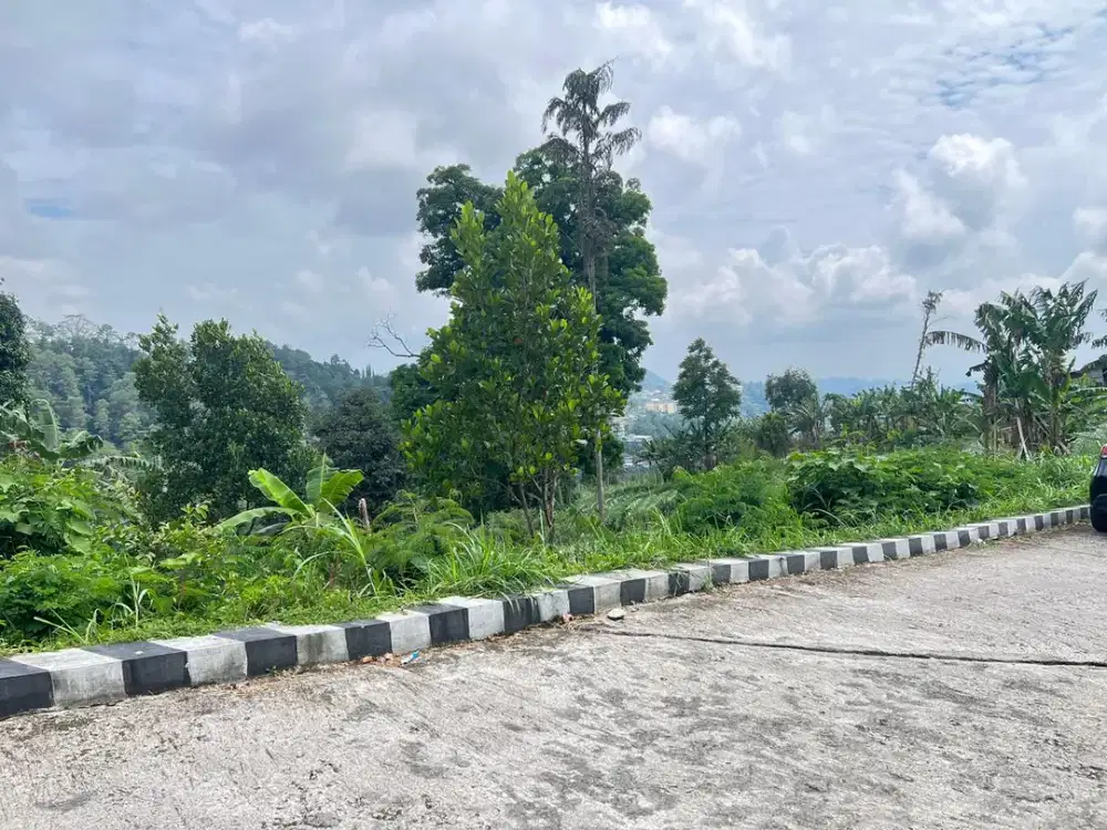 Tanah 1150m² Dekat Wisata Grojogan Sewu Tawangmangu