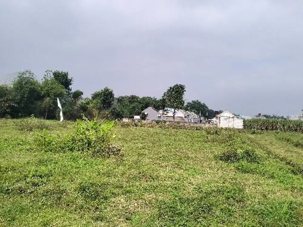 Tanah Idaman di Kawasan Tenang, Bebas Banjir & Siap Dibangun