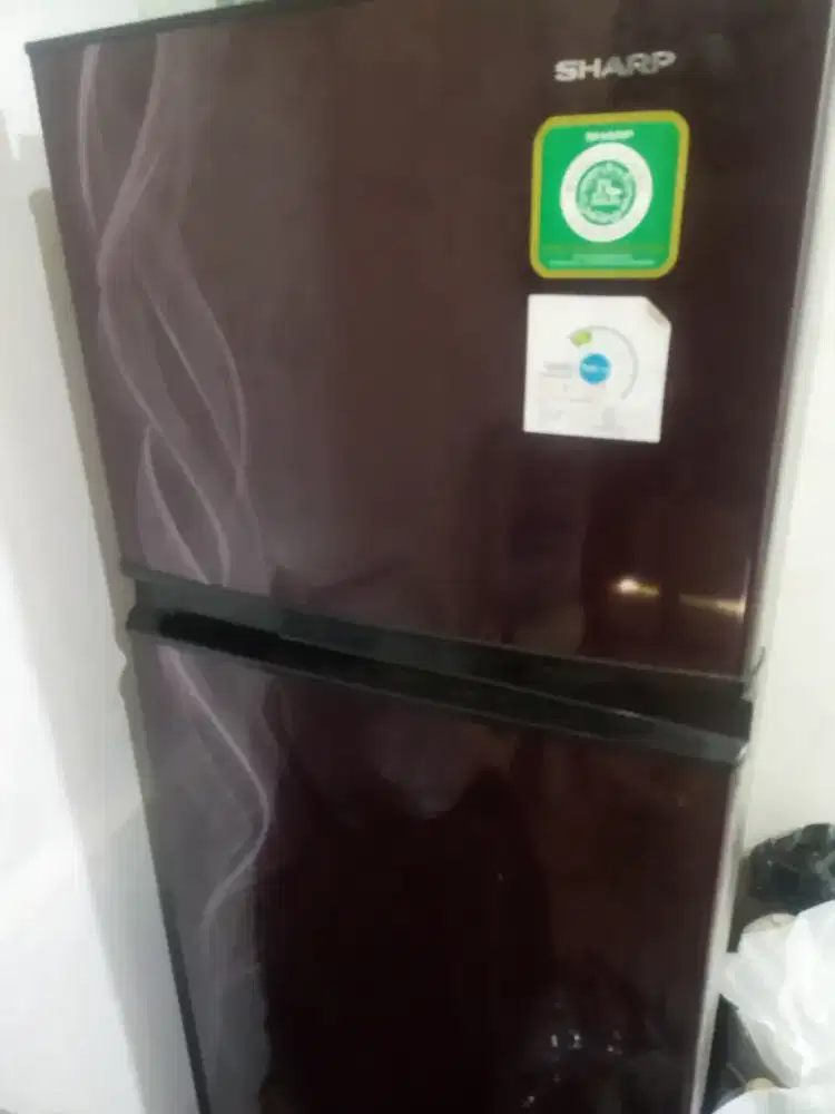 kulkas 2 pintu sharp