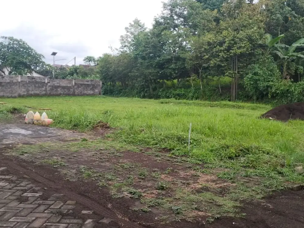 Kavling Eksklusif Area Sejuk – Cocok Hunian & Investasi Masa Depan