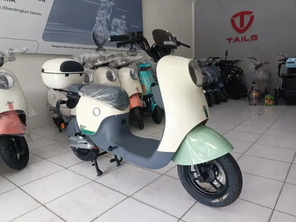 Sepeda listrik merek Nomor 4 di China