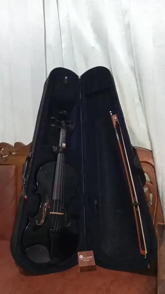 Biola 4/4 hitam fullset