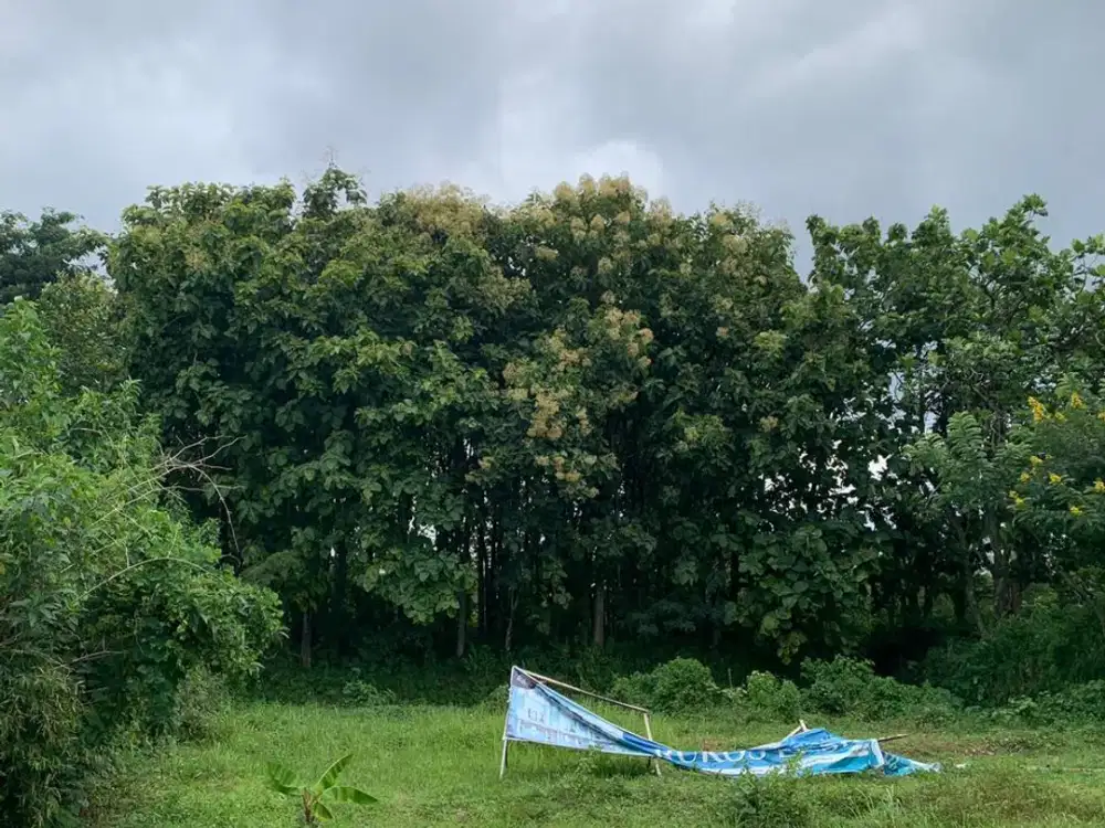 Investasi Tanah di Malang – Harga Terjangkau, Potensi Tinggi