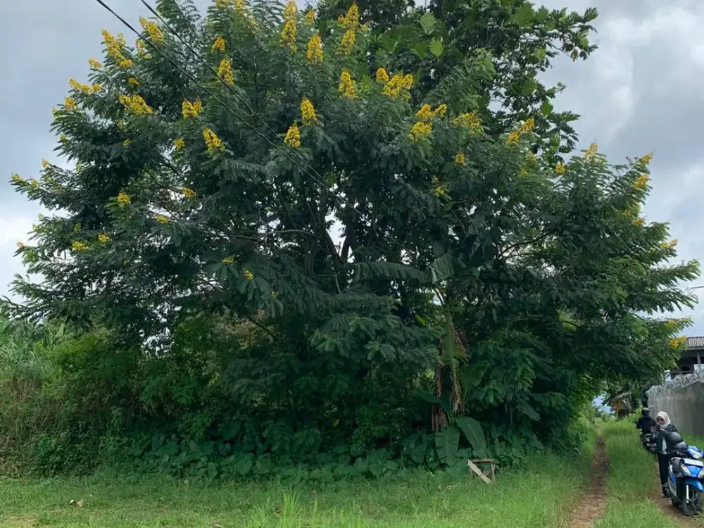 Tanah Strategis di Kota Malang – Cocok untuk Hunian atau Investasi