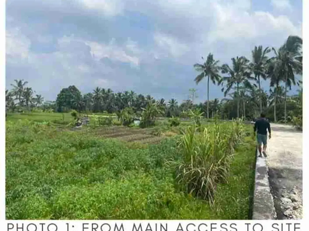 Tanah 22.13m2 Lingk Villa di Ubud tegalalang Gianyar Bali - Thumbnail 5