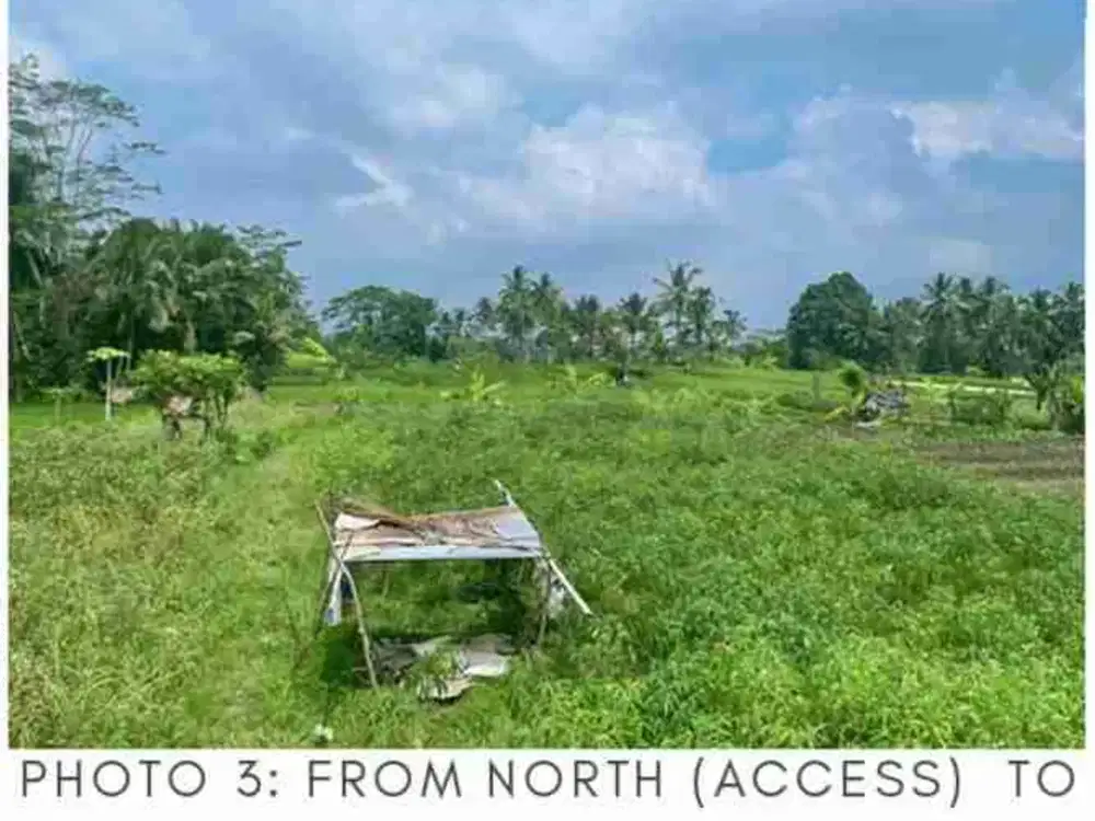 Tanah 22.13m2 Lingk Villa di Ubud tegalalang Gianyar Bali - Thumbnail 6