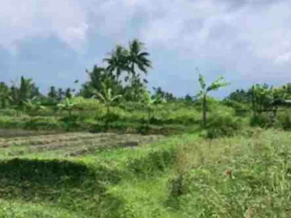 Tanah 22.13m2 Lingk Villa di Ubud tegalalang Gianyar Bali - Thumbnail 8