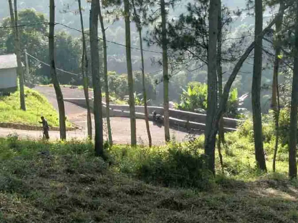 Dijual Tanah cocok untuk Rumah Tinggal Premium, Villa, atau Cafe Resto Hidden Gem di Pagerwangi, Lembang.