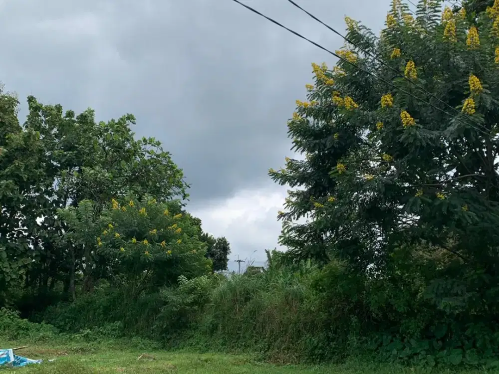 Tanah Luas di Malang – Cocok untuk Rumah, Kost, atau Usaha