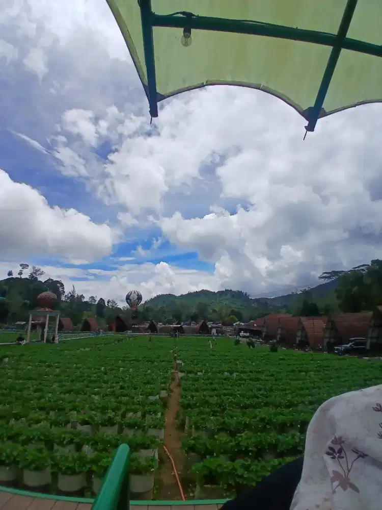 Cari kerjaan daerah pondok aren bintaro tangerang selatan