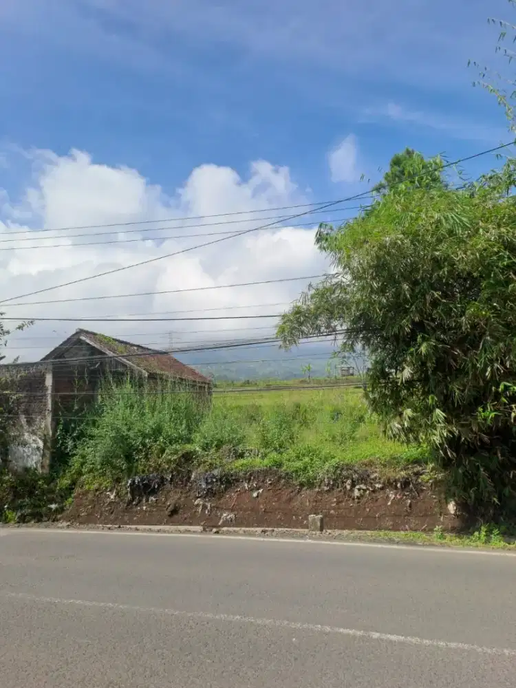 BISMILLAH, DIJUAL CEPAT!!