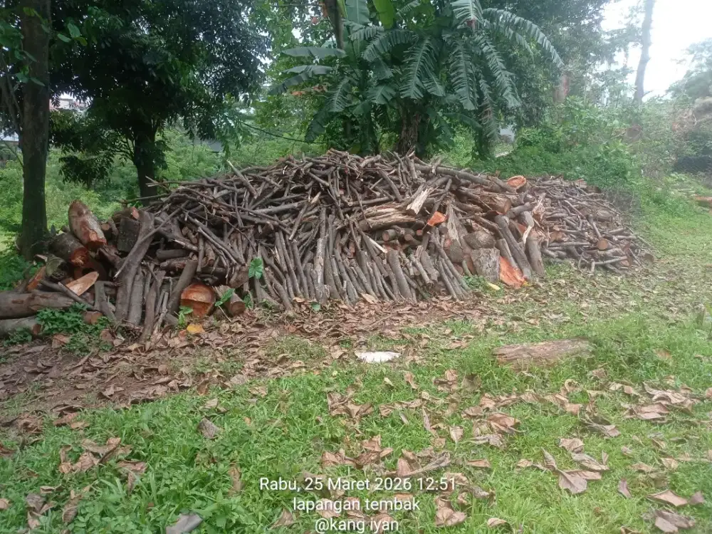 Kayu bakar sengon