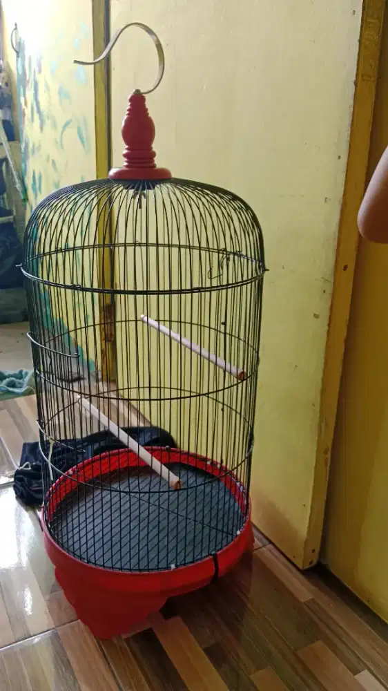 Kandang Bulet kapsul Bekas Pelci masih Bagus