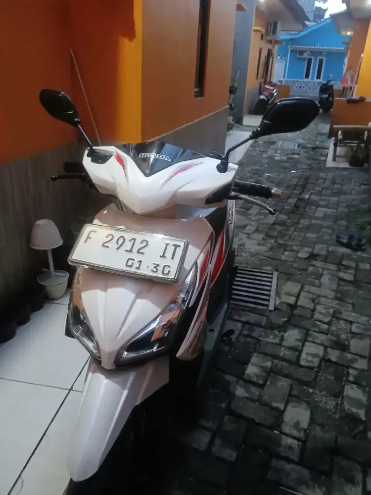 Vario 110 agnes 2015