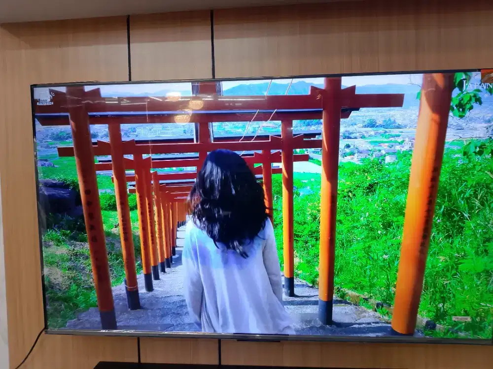 GOKGLE TV TCL 50 INCH V5C QLED