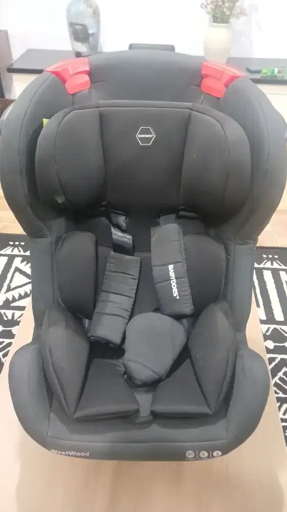 Car Baby Chair BABYDOES