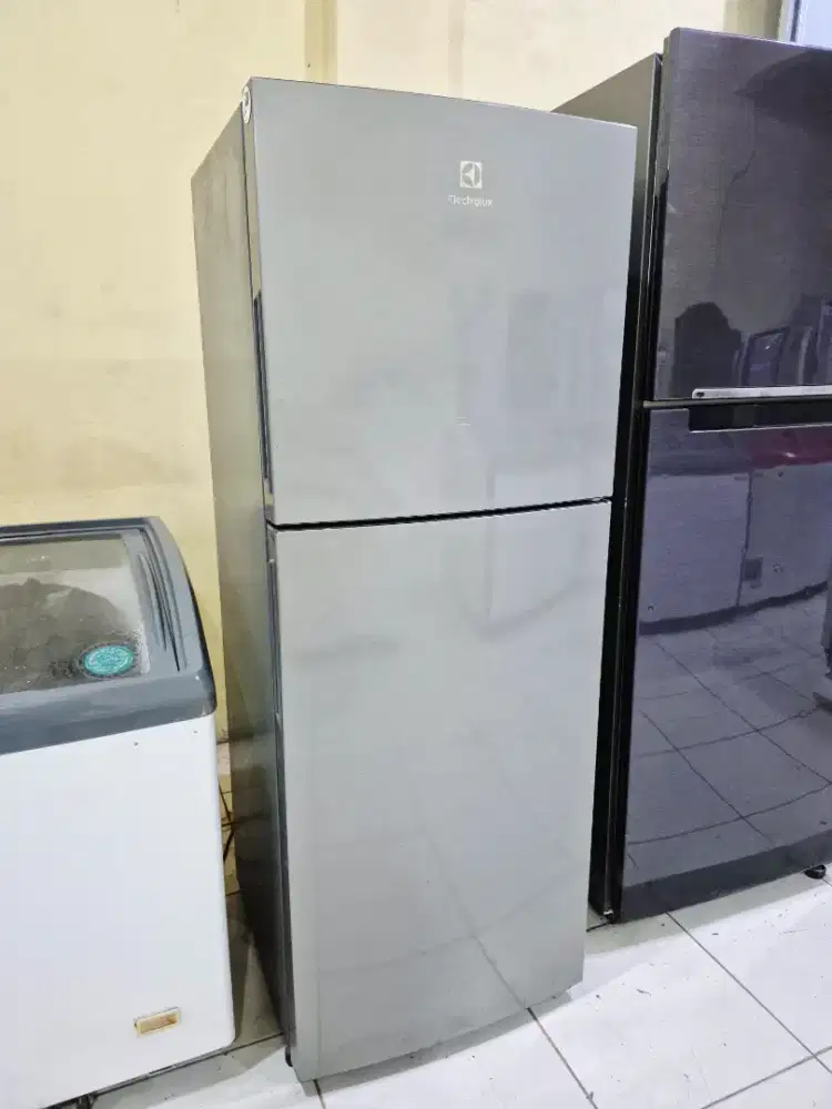 Kulkas electrolux ori mulus