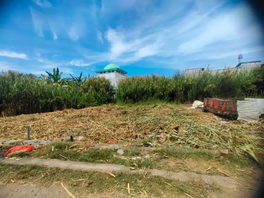 DIJUAL CEPAT TANAH STRATEGIS CANDI SIDOARJO