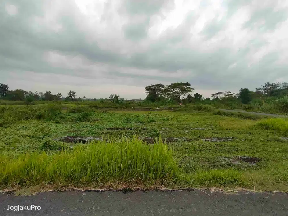 Dijual cepat murah Tanah strategis dekat sekolah mualimat, exit toll & RS PKU Muhammadiyah