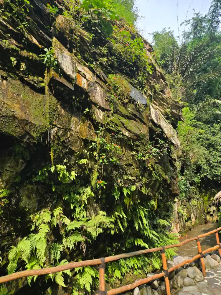 Dicari Asisten Rumah Tangga dan Pengasuh