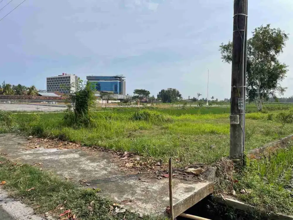 Dijual cepat murah Tanah pekarangan view hamparan sawah sangat dekat Bandara YIA Kulon Progo Yogyakarta