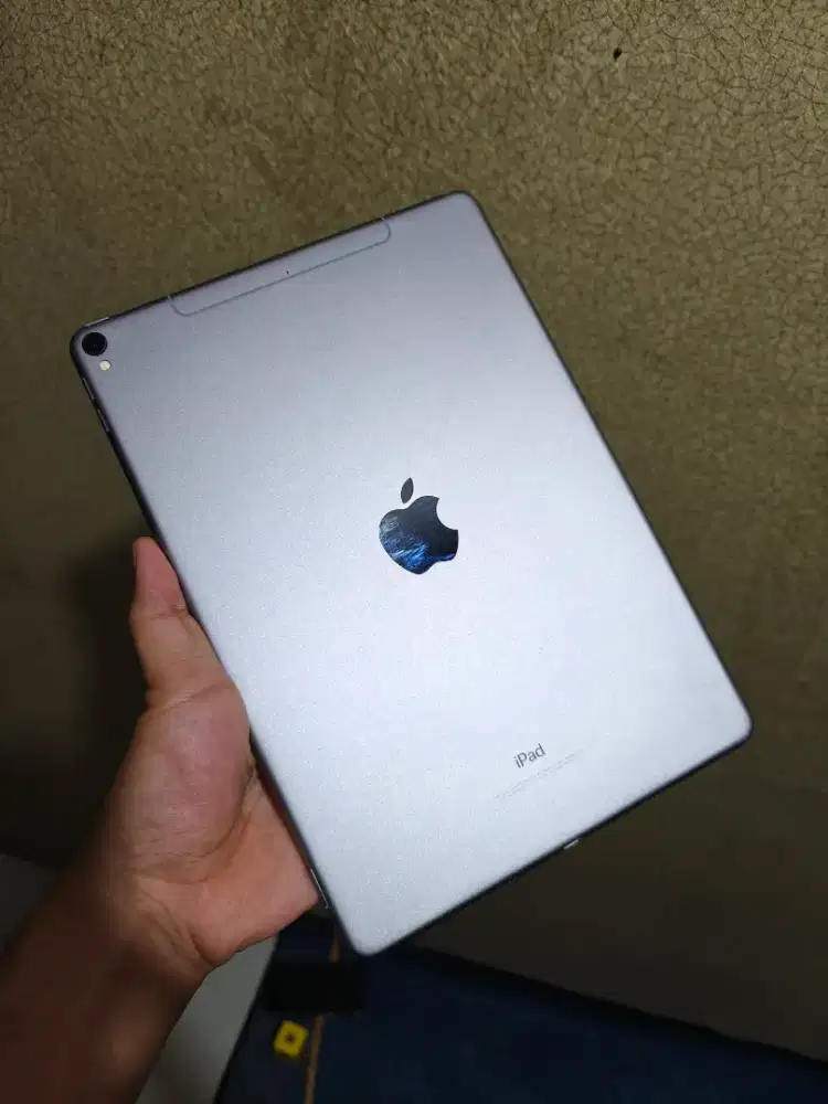 Ipad pro 2017 mulus murah