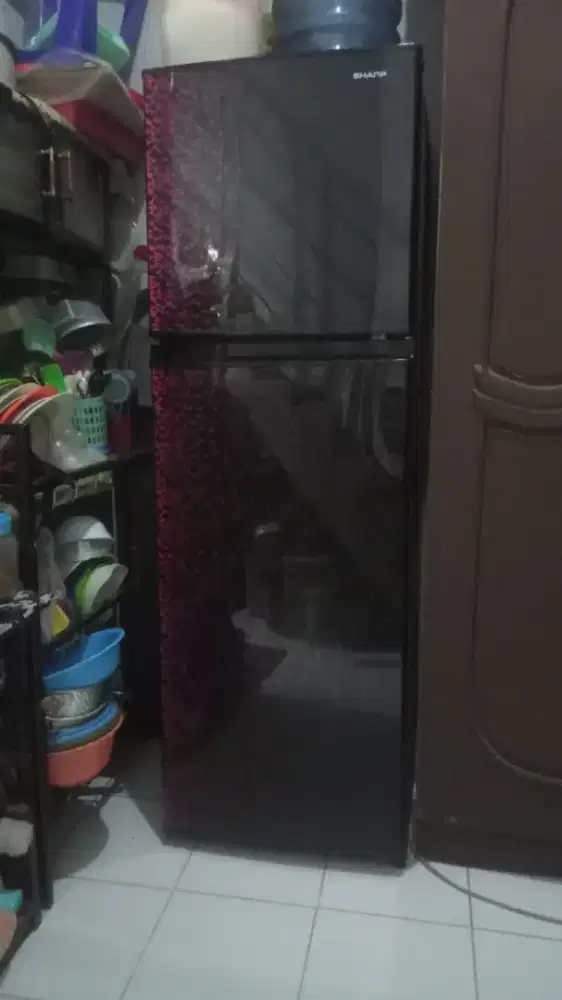 Kulkas  shap  2 pintu