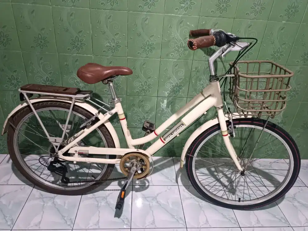 Polygon Sierra ax 24