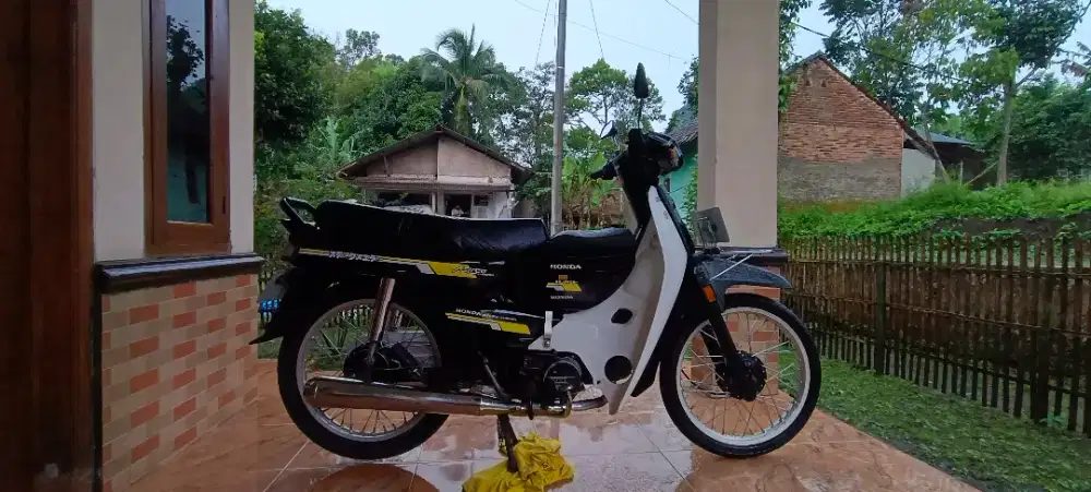 Astrea impressa tahun 1997