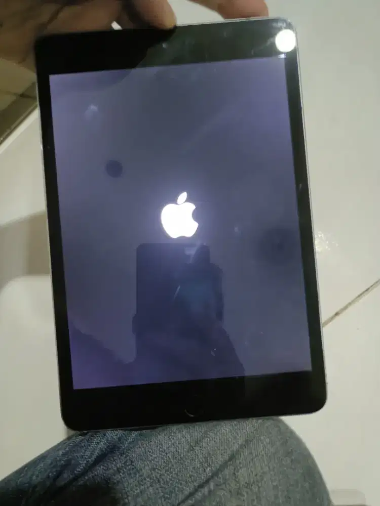 Ipad Mini 4 (A1538) batangan mulus wifi only kondisi Blank !!