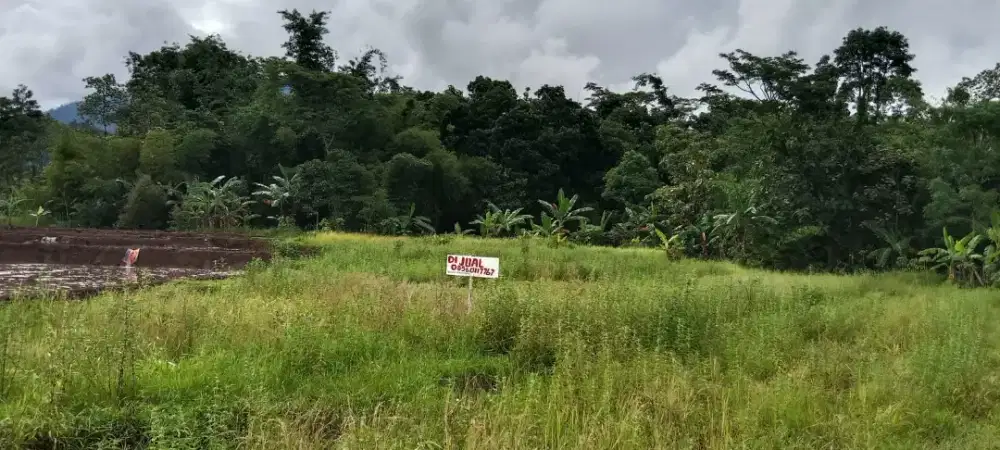 Dijual Tanah / Sawah