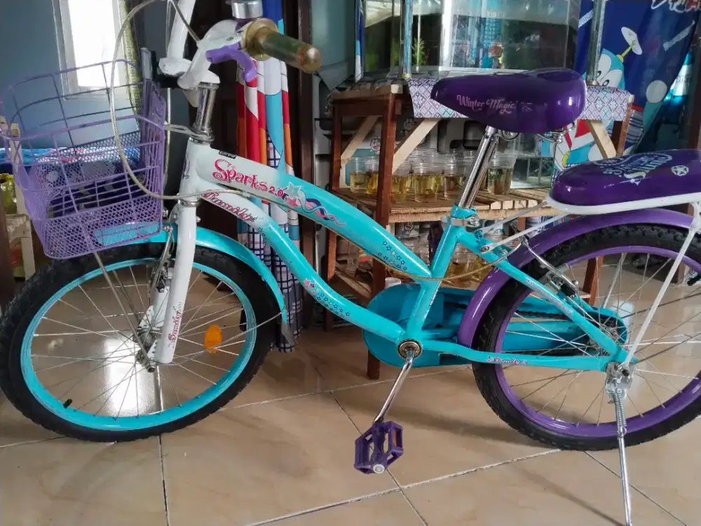 Sepeda family ukuran 20