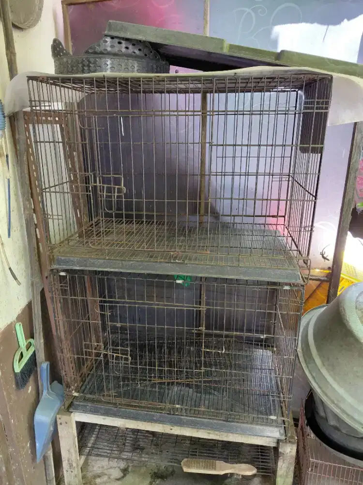 Kandang kucing jumbo