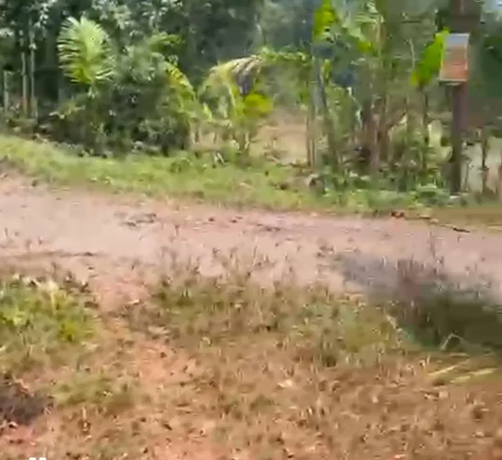 Tanah luas 1422 m2, murah di pinggir jalan dekat wisata coconut garden