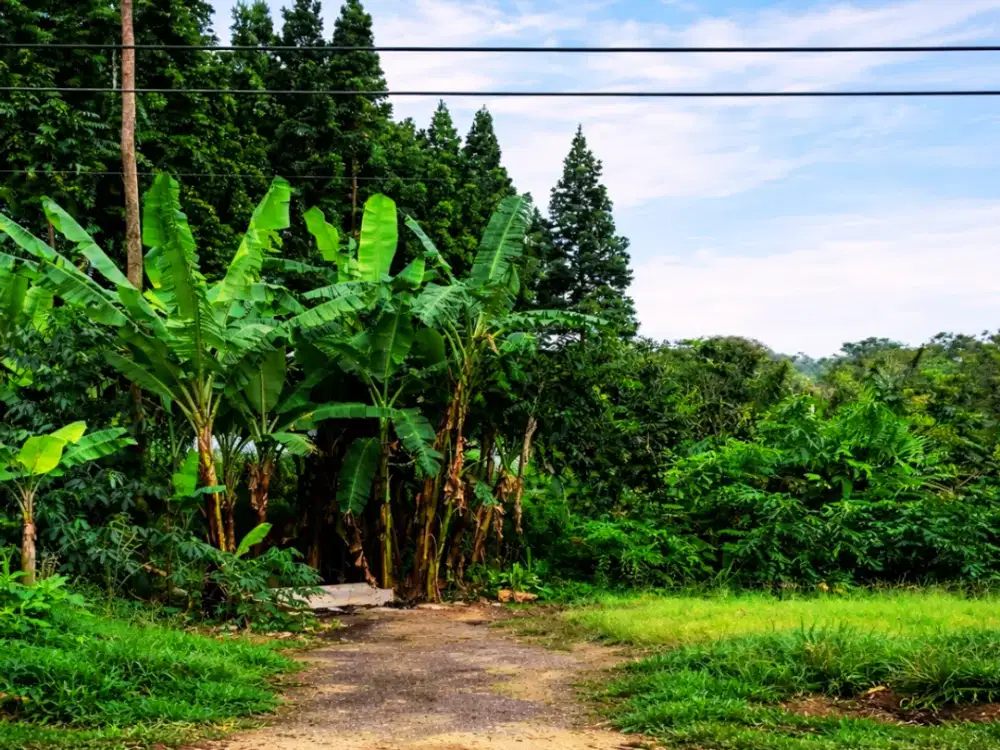 Tanah Siap Bangun Area Favorit Setiabudi – Langsung Gas!