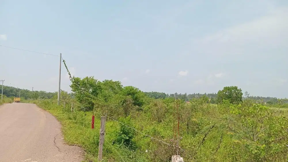 Dijual tanah 7 hektar gandus kota palembang