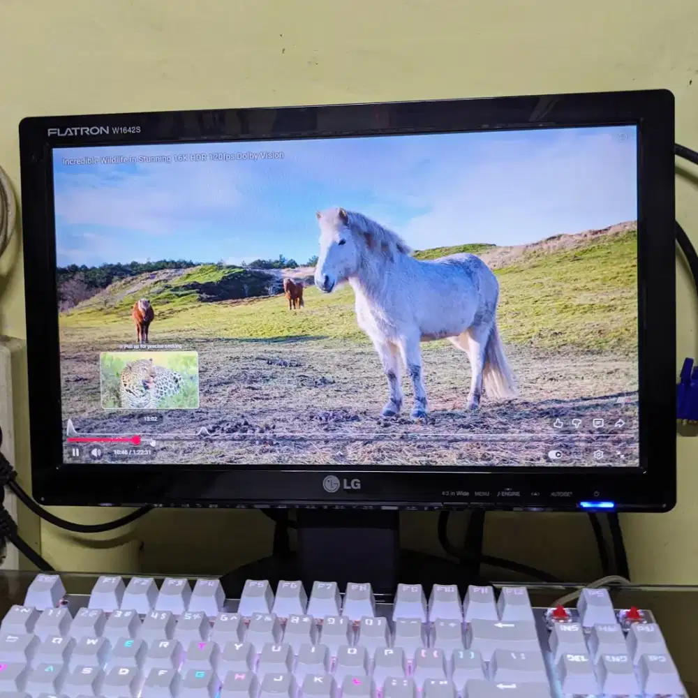 Monitor PC komputer LG 16 inch