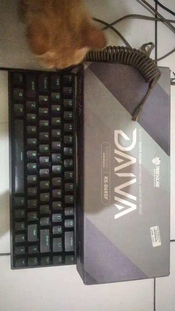 Keyboard Mechanical REXUS DAIVA RX-D68SF