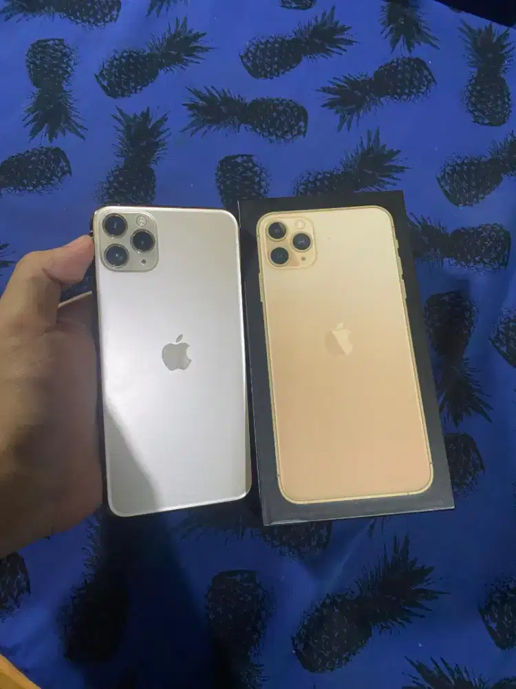 iPhone 11 promax becuk