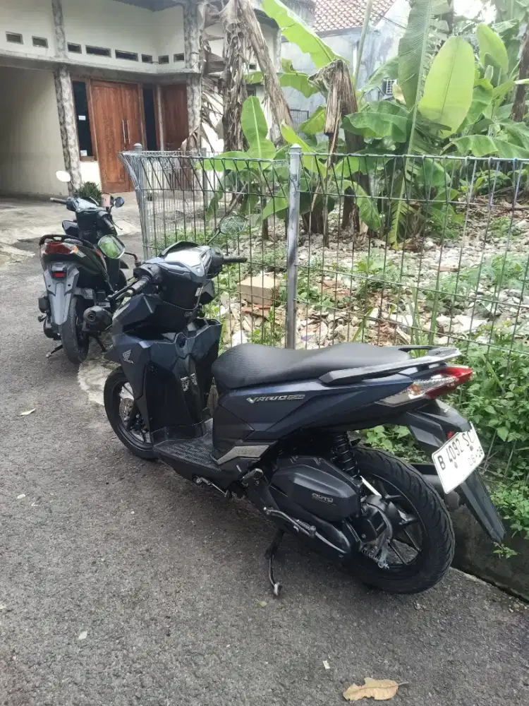 Vario 150 belue mate