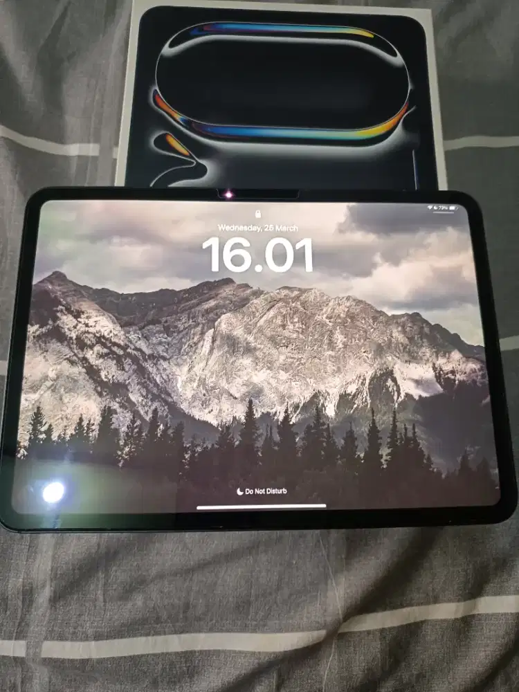 IPAD PRO M4 256GB 11 INCH