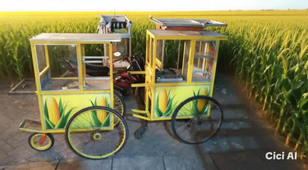 Sales jasuke gerobak keliling