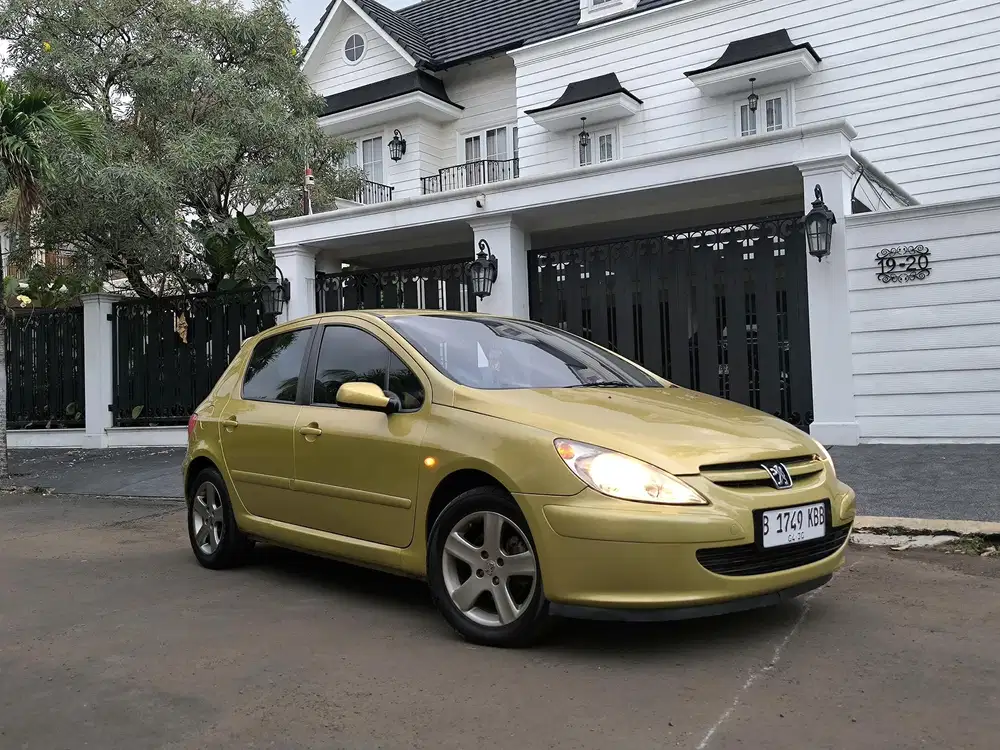Peugeot 307 XS Sporty 1.6 MT 2002 ISWIMEWAH