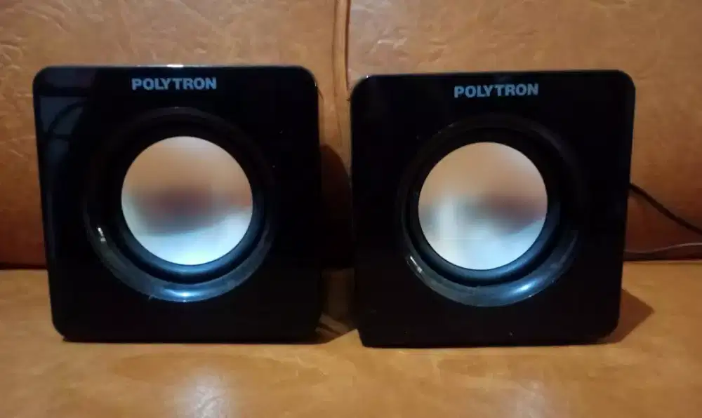 Speaker Pasif Polytron ex home theater