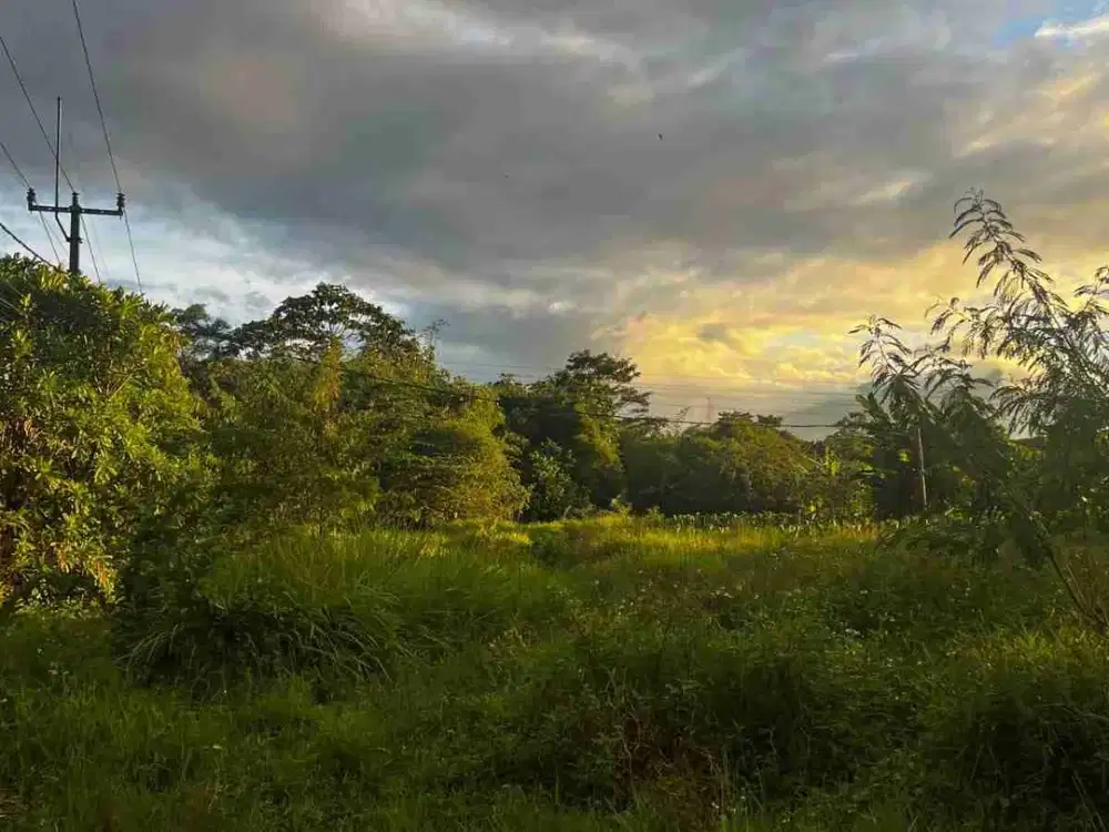 tanah di pinggir tol jagorawi Bogor