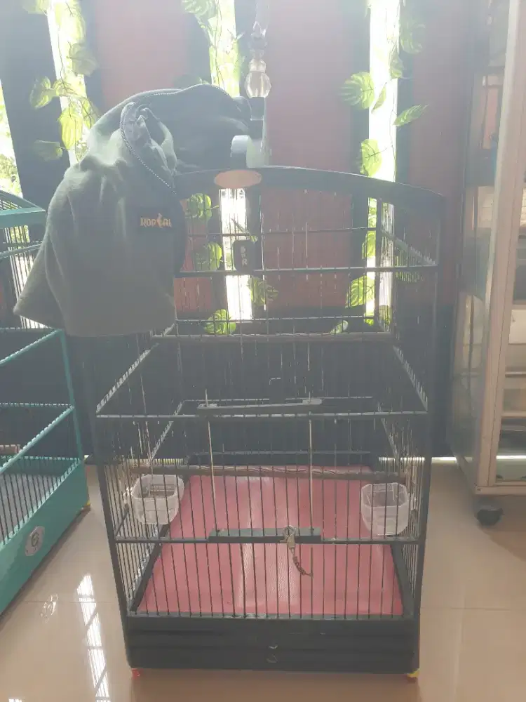 KANDANG KOTAK BNR KLASIK DAN EBOD FS